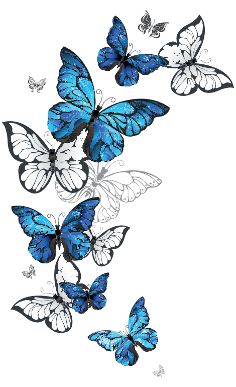 Image of butterflies representing the transformational website work done by Designtoo for its clients